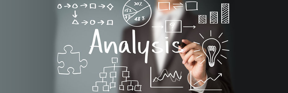 Analysis / Consulting